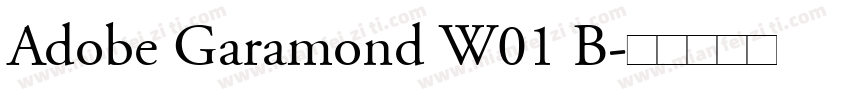 Adobe Garamond W01 B字体转换